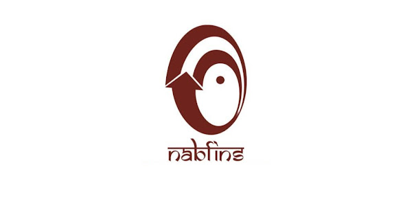 NABFINS